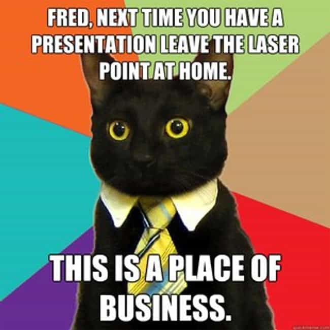 2011 internet memes list of the funniest memes of the year 2011 s new advice animals photo u1?w=650&q=50&fm=jpg&fit=crop&crop=faces 2011 internet memes list of the funniest memes of the year